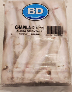 Chapila Block