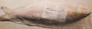 Hilsa Whole