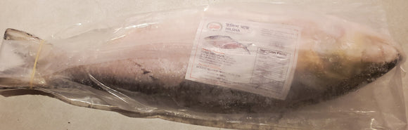 Hilsa Whole