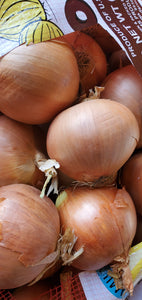 Onion পেঁয়াজ
